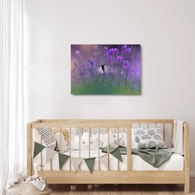 Kép - Pillangó a levendulán (üvegen) (70x50 cm)