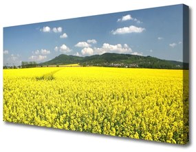 Vászonkép Mező Mező Természet repce 125x50 cm