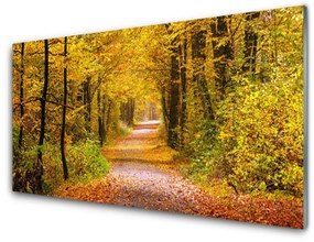 Üvegkép Nature Plant Forest Lane 120x60cm 2 fogas