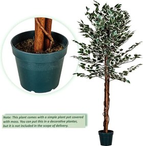PLANTASIA Műnövény fikusz 160 cm