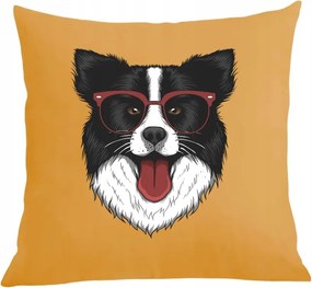 Párna párnahuzat Border Collie Kutya mintás