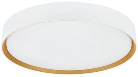 Binary LED mennyezeti spotlámpa