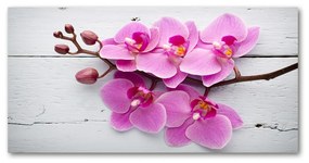Akrilkép Orchid a fán oah-118409675