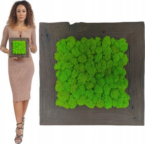 Moha Vászonkép fa keretben 25x25 cm moha mintás Élénk Kép