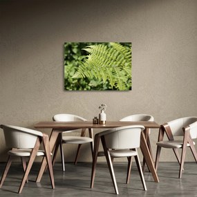 Üveg kép - Páfránylevél (70x50 cm)