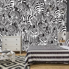 Fotótapéta - Zebra (152,5x104 cm)