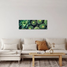 Kép - Kaktuszok (órával) (90x30 cm)