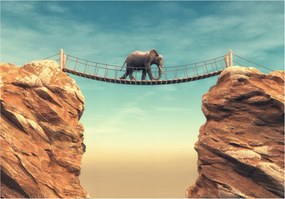 Fotótapéta Elefánt híd sziklák természet öko harmónia stílus otthon 200x140 +ragasztó