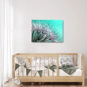 Kép - harmatos növény (üvegen) (70x50 cm)