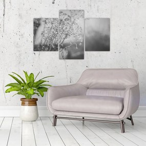 Kép - Mező az eső után (90x60 cm)