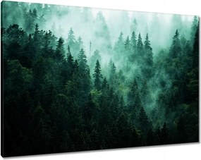 Vászonkép 100x70 Erdő Köd Tájkép Utazás