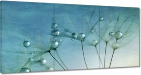 Vászonkép 180x90 Pitypang Virág Virágok