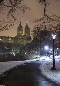 Poszter 21x29,7cm Ösvény a központi parkon át, Assaf Frank