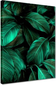 Vászonkép 30x40 Gyönyörű türkiz levelek
