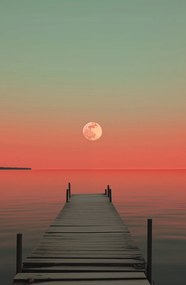 Poszter 53x81cm Hold a víz felett