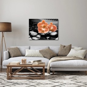 Kép - Narancssárga orchideák (70x50 cm)