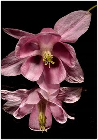 Poszterek 70x100 Nőnap Ajándék Love