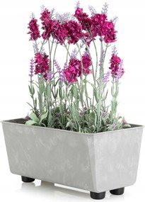 Virágláda gyógynövények Szürke beton utánzat Lábakon virágtartó 29x17cm