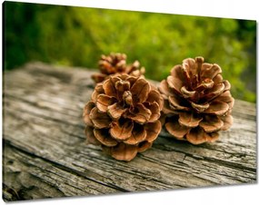 Vászonkép 100x70 Tobozok a kertben