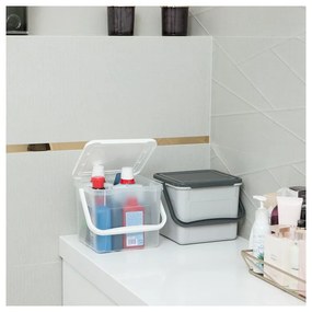 Műanyag tárolódoboz fedéllel - Rotho