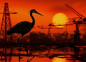 Poszter 55x40cm Alkonyat Ipari Daru