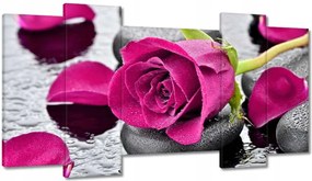 Vászonkép 120x65 Rózsaszín rózsa köveken
