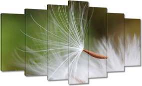 Vászonkép 140x80 Pitypang Virág Virágok