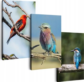 Vászonkép 180 cm **többféle minta** Nappali Képek Triptichon Virágok