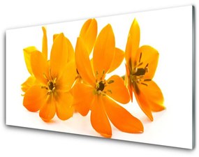 Fali üvegkép Orange növény virágai 100x50 cm