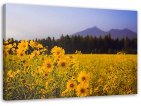 Gario Vászonkép Sárga mezei virágok Méret: 60 x 40 cm