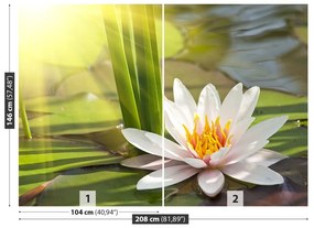 Fotótapéta Lotus és a tó 104x70 cm