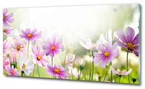 Egyedi üvegkép Virágok a réten osh-49015861