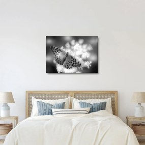 Kép - Részlet egy virágot beporzó pillangóról (70x50 cm)