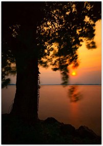 Poszterek 70x100 Fa Napnyugta