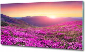 Fotó kép edzett üveg Bambusz erdő 125x50