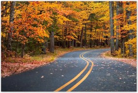 Poszterek 120x80 Tåjkép Låtvåny