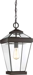 Quoizel RAVINE QZ-RAVINE8-L Függőlámpa 1x60W/E27 IP44