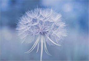 Fali fotótapéta Étkezőbe Kék finomság 152x104