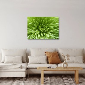 Kép - Makro kép egy növényről (70x50 cm)