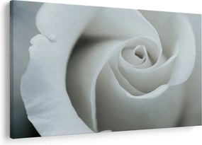 Kép - Fehér rózsa (90x60 cm)