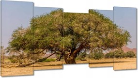 Festmények 150x80 Fa Fák Kilátás