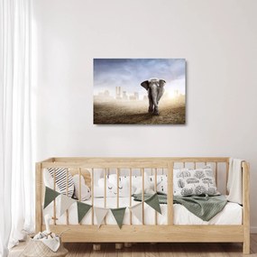 Kép - Elefánt egy nagyvárosban (üvegen) (70x50 cm)