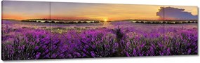 Vászonkép 170x50 Levendula naplemente