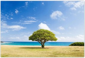 Poszterek 185x125 Tájkép fával