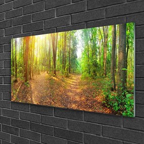 Akrilkép Sun-erdő Természetvédelmi Path 100x50 cm