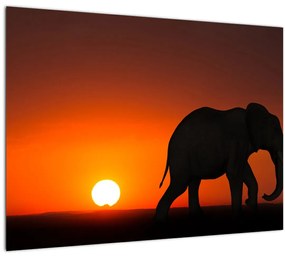 Elefánt képe naplementekor (üvegen) (70x50 cm)