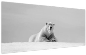 Kép - Jegesmedve (120x50 cm)