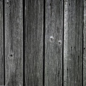 Poszter 30x30cm Fa díszlécek, Assaf Frank