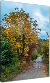 Festmények 70x100 Őszi fák