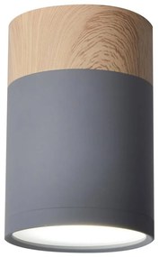 Mennyezeti lámpa TUBA GU10/15W/230V